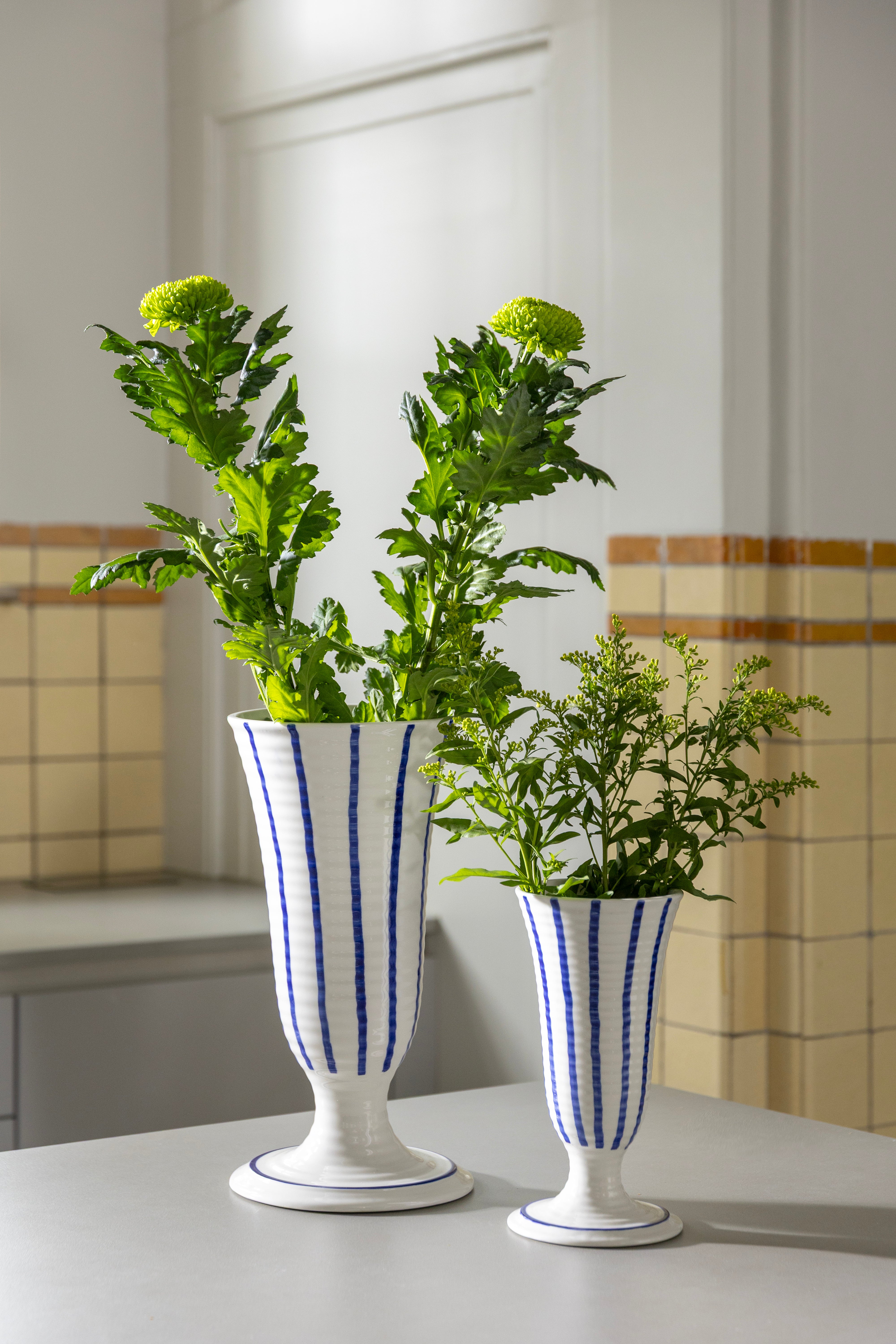 Two white vases with blue stripes containing green plants on a kitchen counter.