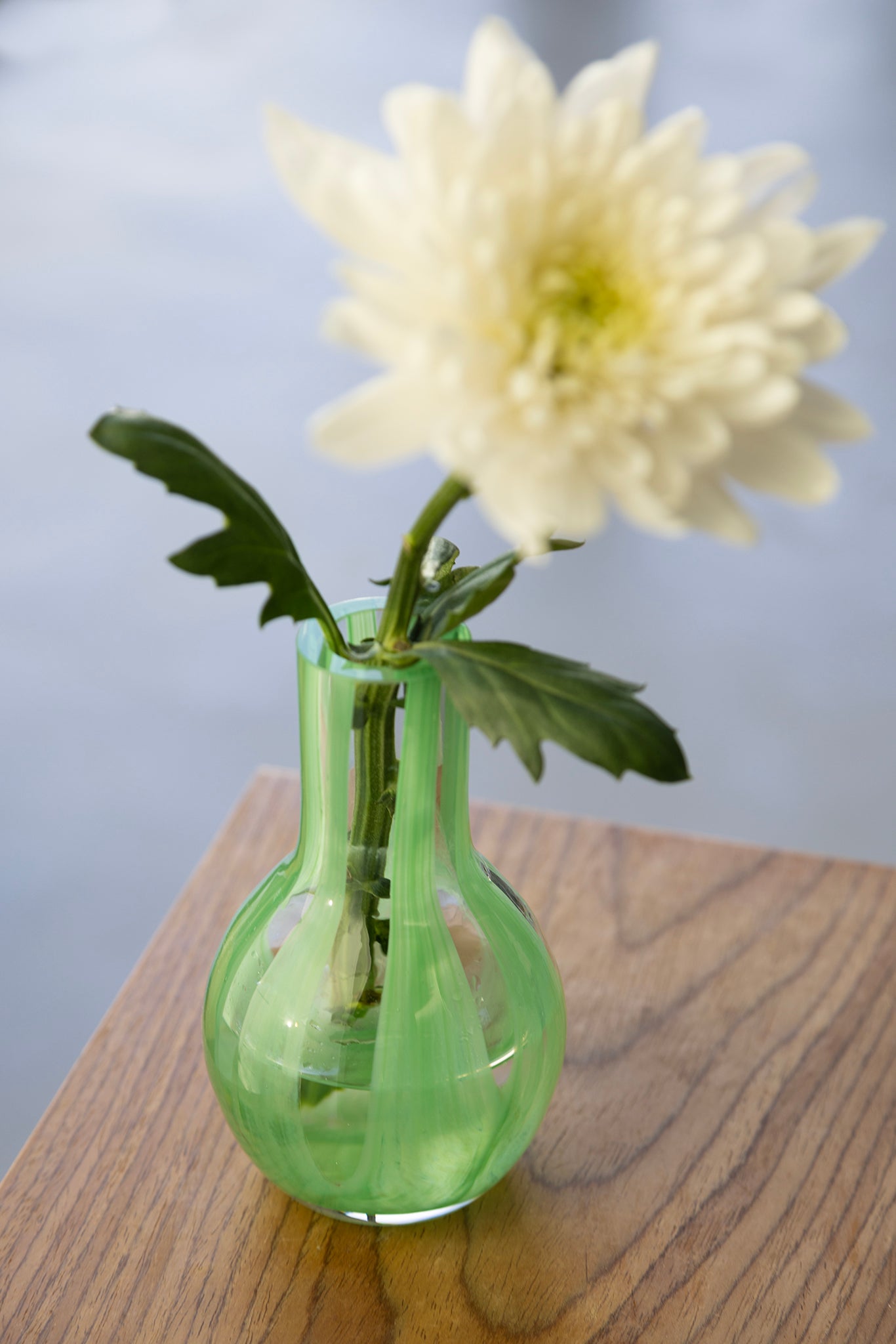 Striped Glass Vase | Green